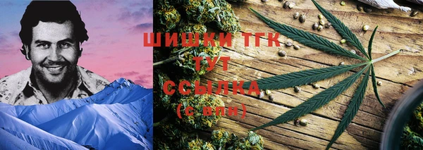 тгк Алзамай