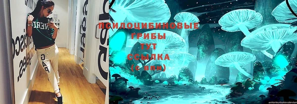 тгк Алзамай