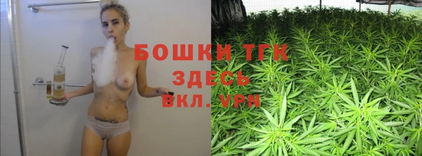 тгк Алзамай
